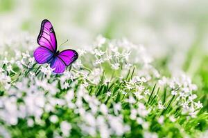 un' bellissimo farfalla nel il giardino con ai generato foto