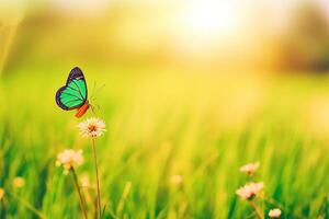 naturale estate con erba e un' svolazzanti farfalla con ai generato. foto
