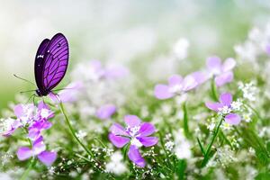 un' bellissimo farfalla nel il giardino con ai generato foto