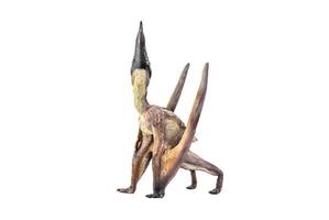 dinosauro , dsungaripterus isolato sfondo foto