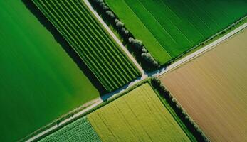 generativo ai, azienda agricola paesaggio, agricolo campi, bellissimo campagna, nazione strada. natura illustrazione, fotorealistico superiore Visualizza drone, orizzontale striscione. foto