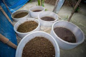 vermicompost è essere manufatto localmente nel grande contenitori di cemento a chuadanga, bangladesh. foto