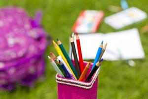 Banana in fibra rosa matita titolare con multicolore matite. libri, i Quaderni, scuola borse può essere visto su su di messa a fuoco nel il erba. foto