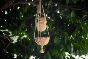 fatto a mano uccelli nido siamo sospeso su il rami di verde alberi. interno decorazione design. nido fatto di fibra. foto