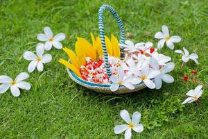 un' fiore cestino fatto di bambù bastoni e fibra. verde erba fiori sfondo. estate fiori. foto