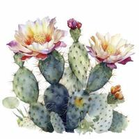 gratuito cactus fiori acqua colore, pastello ,bianca sfondo , generat ai foto