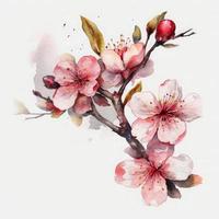 gratuito ciliegia fiorire fiori acqua colore, pastello colore con bianca sfondo, generat ai foto