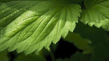 vicino su su verde le foglie nel natura, generat ai foto