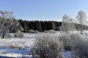 un' innevato campo nel inverno, blu cielo e foresta. neve nel un' inverno campo durante il giorno. foto