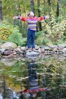 bambino su un autunno camminare. in posizione verticale ragazzo nel un' caldo maglione di il autunno lago. foto