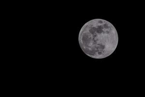 luna piena di notte foto