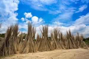 un' soleggiato giorno, blu bianca verde e Marrone colore strato nel bellissimo bangladesh iuta essiccazione scena a Madhabdi, narsingdi, bangladesh. foto