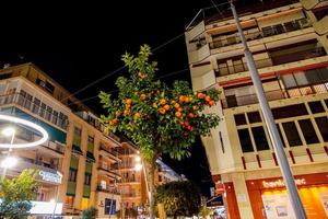 arancia albero con frutta a notte nel il strada di il città di benidorm nel Spagna nel gennaio foto