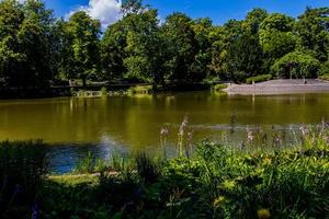 estate paesaggio con un' stagno saski giardino varsavia Polonia verde alberi caldo giorno foto