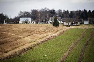 agricoltura giallo e verde erba nel il i campi sotto bluastro cielo e spoglio primavera foresta alberi indietro a nazione lato con residenziale case foto