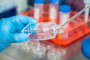 scienziato Lavorando con un' cellula cultura borraccia sotto sterile cappuccio a laboratorio foto