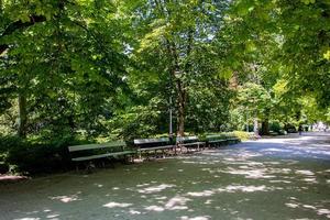 estate paesaggio su un' soleggiato giorno parco giardino varsavia Polonia sentiero, albero foto