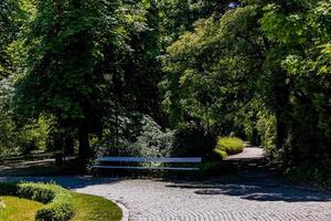 estate paesaggio su un' soleggiato giorno parco giardino varsavia Polonia sentiero, albero foto