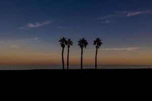 mare paesaggio pace e silenzioso tramonto e quattro palma alberi su il spiaggia foto