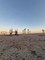mare paesaggio pace e silenzioso tramonto e quattro palma alberi su il spiaggia e un' panchina foto