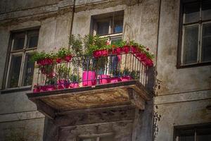 un' balcone nel un vecchio storico condominio Casa nel varsavia con estate rosa fiori foto