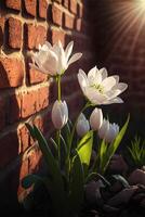 primavera mattina con un' bellissimo fiore. generativo ai. foto