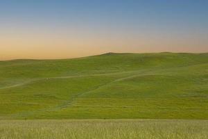 montagna prati con lussureggiante verde erba a alba. paesaggio foto