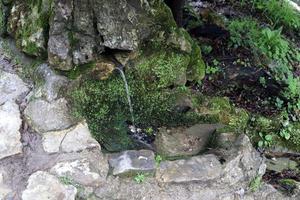Visualizza di S chiaro ruscello di acqua fluente fuori da un' fessura fra rocce nel un' montagna foresta. foto