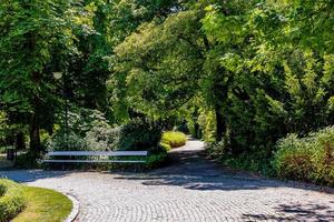 estate paesaggio su un' soleggiato giorno parco giardino varsavia Polonia sentiero, albero foto