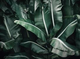 tropicale palma le foglie sfondo. illustrazione ai generativo foto