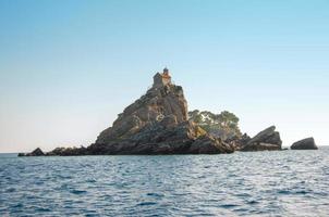 alto acuto scogliera sparato a partire dal il acqua montenegroadriatico mare alberi su superiore foto