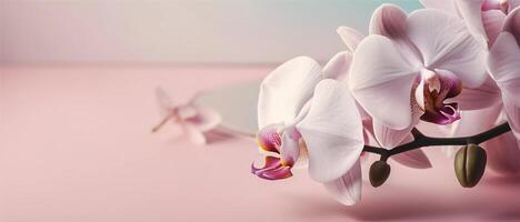 elegante orchidea telaio, delicato orchidee con grazia adornare Due angoli di un vuoto bianca carta per testo, impostato contro un' pastello rosa sfondo ai generato foto