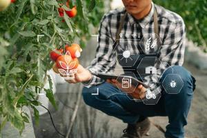 inteligente contadino utilizzando applicazione di tavoletta concetti moderno verdure e giardinaggio lattuga a serra. e visivo icon.smart agricoltura foto