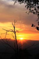 silhouette asciutto ramo nel naturale e crepuscolo di tramonto su il montagna foto