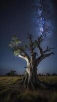un' asciutto albero con raggiante cielo nel Australia paesaggio fotografia generativo ai foto