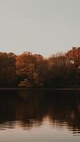 un' sereno lago un' foresta nel autunno buio sera Immagine generativo ai foto