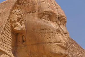 vicino su di grande sfinge di Giza foto
