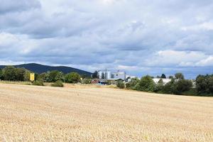 grano i campi e agricoltura relazionato industria foto