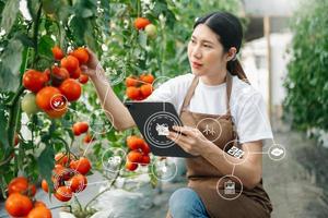 agricoltura usi produzione controllo compresse per tenere sotto controllo qualità verdure e pomodoro a serra. inteligente contadino con vr icona foto