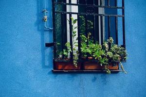 finestra sulla facciata blu della casa, architettura nella città di bilbao, spagna foto