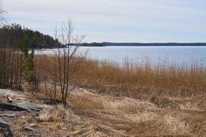 la costa del Mar Baltico in Finlandia in primavera in una giornata di sole. foto