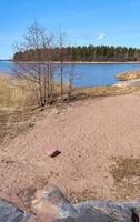 la costa del Mar Baltico in Finlandia in primavera in una giornata di sole. foto
