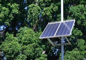 piccolo solare pannelli nel il natura foto