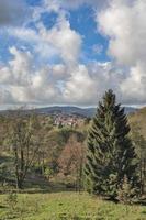 villaggio di sankt andreasberg,harz montagne, germania foto