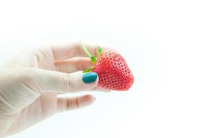 fresco fragole nel mano, un appetitoso fragola nel il donna di stuzzicando mano a il bianca sfondo foto