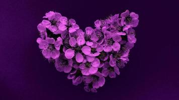 cuore di fiori di susino nei moderni colori viola. può essere utilizzato come banner, cartolina, stampa di immagini, design di inviti. foto d'archivio.