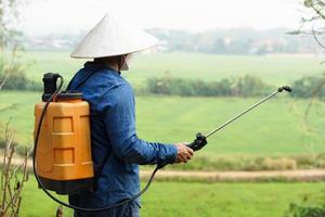 asiatico giardiniere usi erbicidi, insetticidi chimico spray per ottenere sbarazzarsi di erbacce e insetti o pianta malattia nel frutteto. causa aria inquinamento. ambientale , agricoltura sostanze chimiche concetto. foto