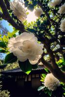 mazzo di bianca fiori sospeso a partire dal un' albero. generativo ai. foto