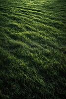 campo di fresco verde erba struttura come un' sfondo, superiore vicino su Visualizza. generativo ai. foto