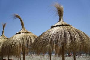 cannuccia ombrelli su un' spiaggia e senza nuvole cielo foto